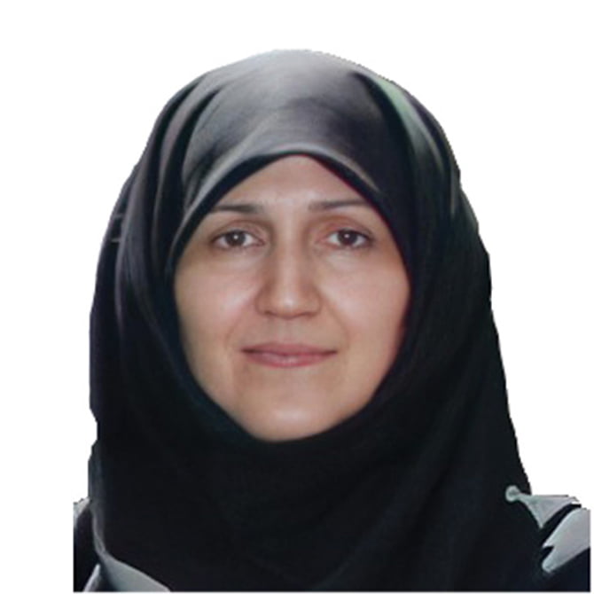 مهدی زاده