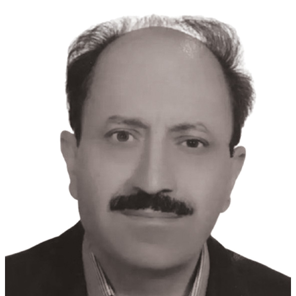 سید محمد حسن موسوی