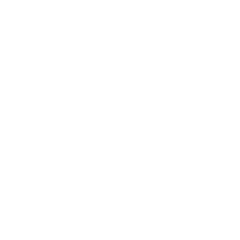 pars university